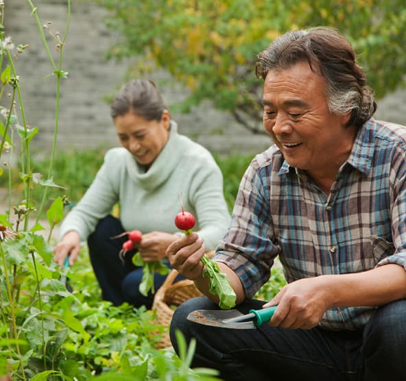 Elderly gentleman and woman tending to a garden, holding radishes and digging implements.